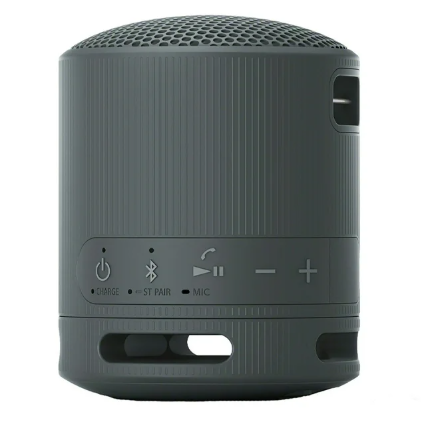 Sony SRSXB100 Bluetooth Portable Speaker