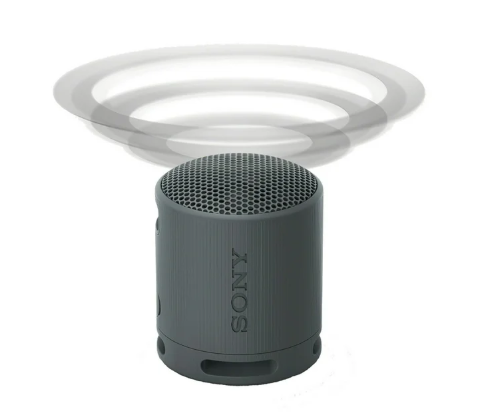Sony SRSXB100 Bluetooth Portable Speaker