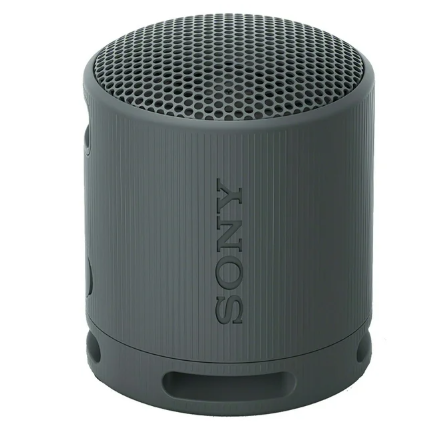 Sony SRSXB100 Bluetooth Portable Speaker