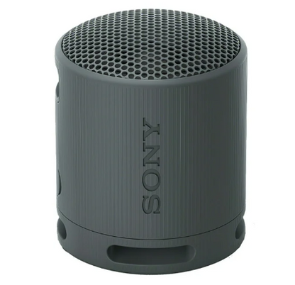 Sony SRSXB100 Bluetooth Portable Speaker