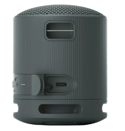Sony SRSXB100 Bluetooth Portable Speaker